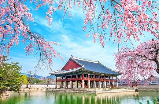 Hàn Quốc mang đậm dấu ấn bởi cảnh vật đẹp đến xiêu lòng, các công trình kiến trúc độc đáo và nền ẩm thực đặc sắc.