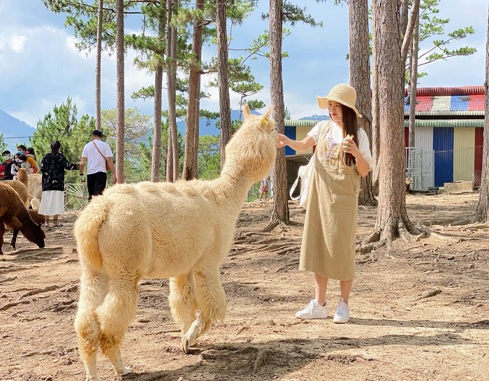 Nhiều trải nghiệm thú vị tại Đà Lạt đang chờ bạn khám phá đó nhé!