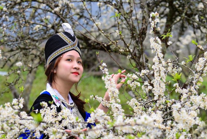 Du lịch Điện Biên mùa hoa nở trắng rừng