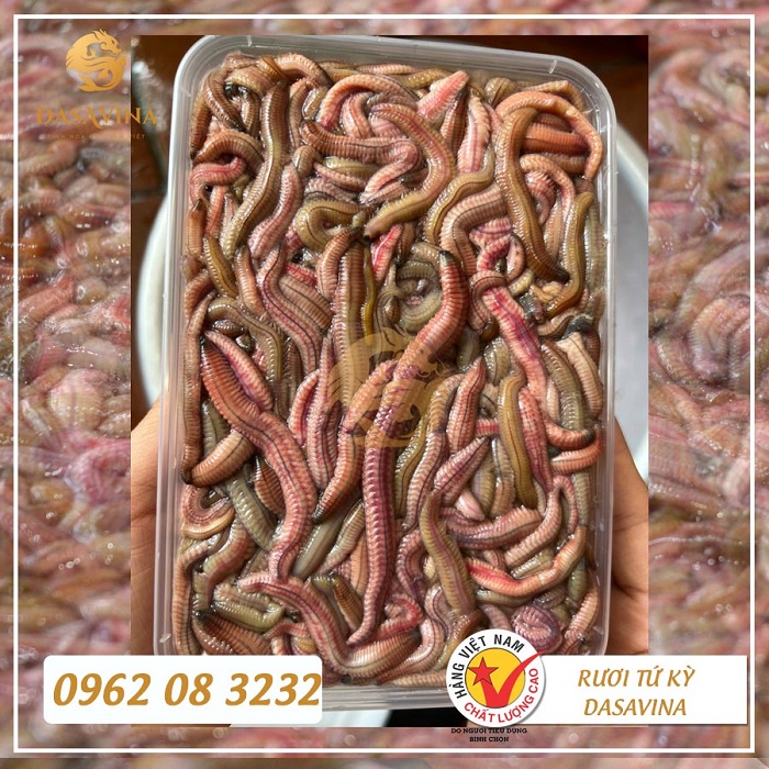 Rươi cấp đông vẫn giữ được hương vị béo ngậy tự nhiên