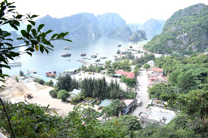 Vài nét về Vũng Đục
